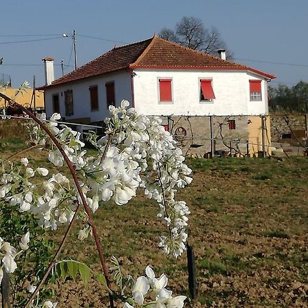 Casa Da Vinha Grande Ξενοδοχείο Poiares Εξωτερικό φωτογραφία