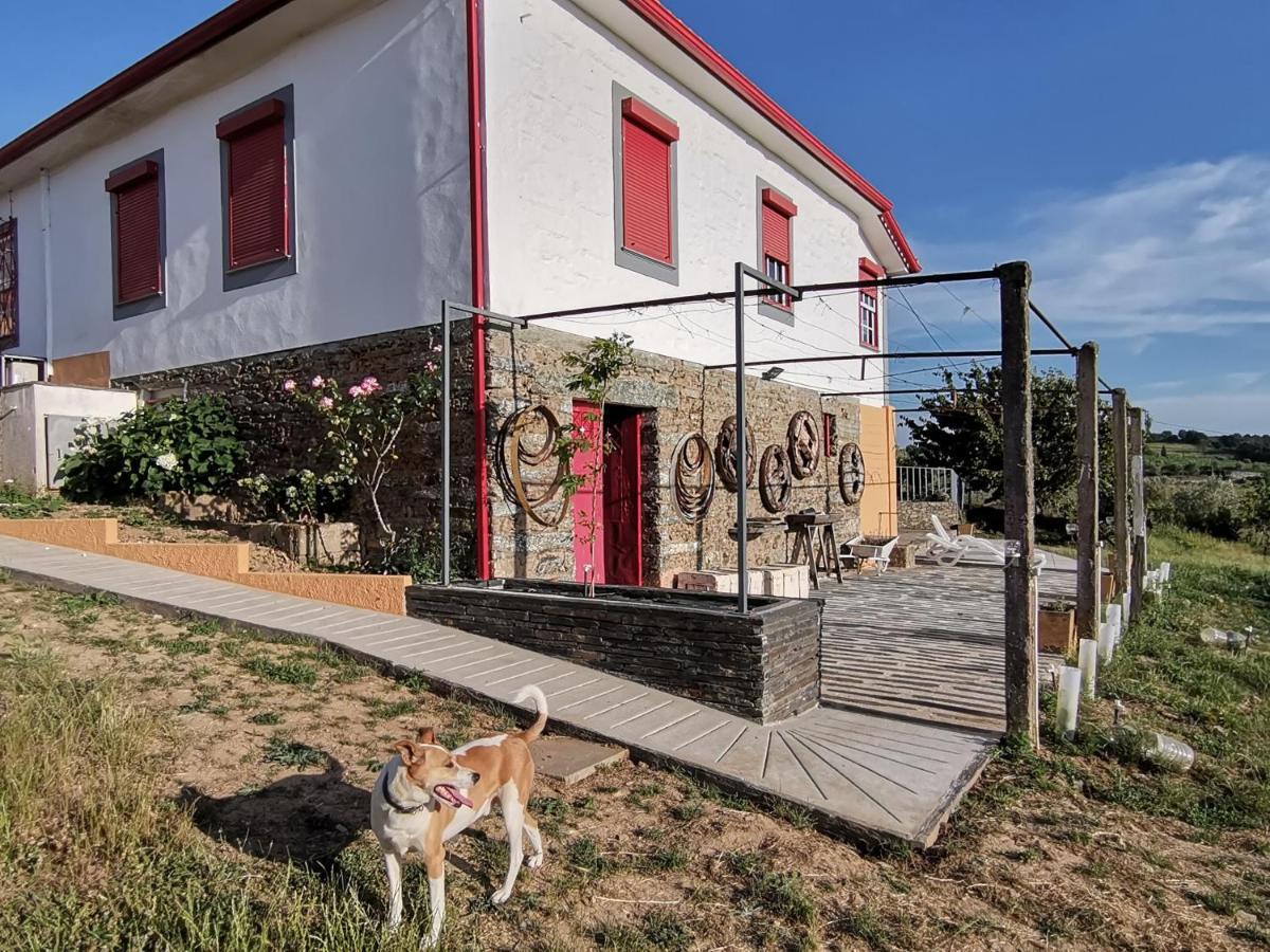 Casa Da Vinha Grande Ξενοδοχείο Poiares Εξωτερικό φωτογραφία