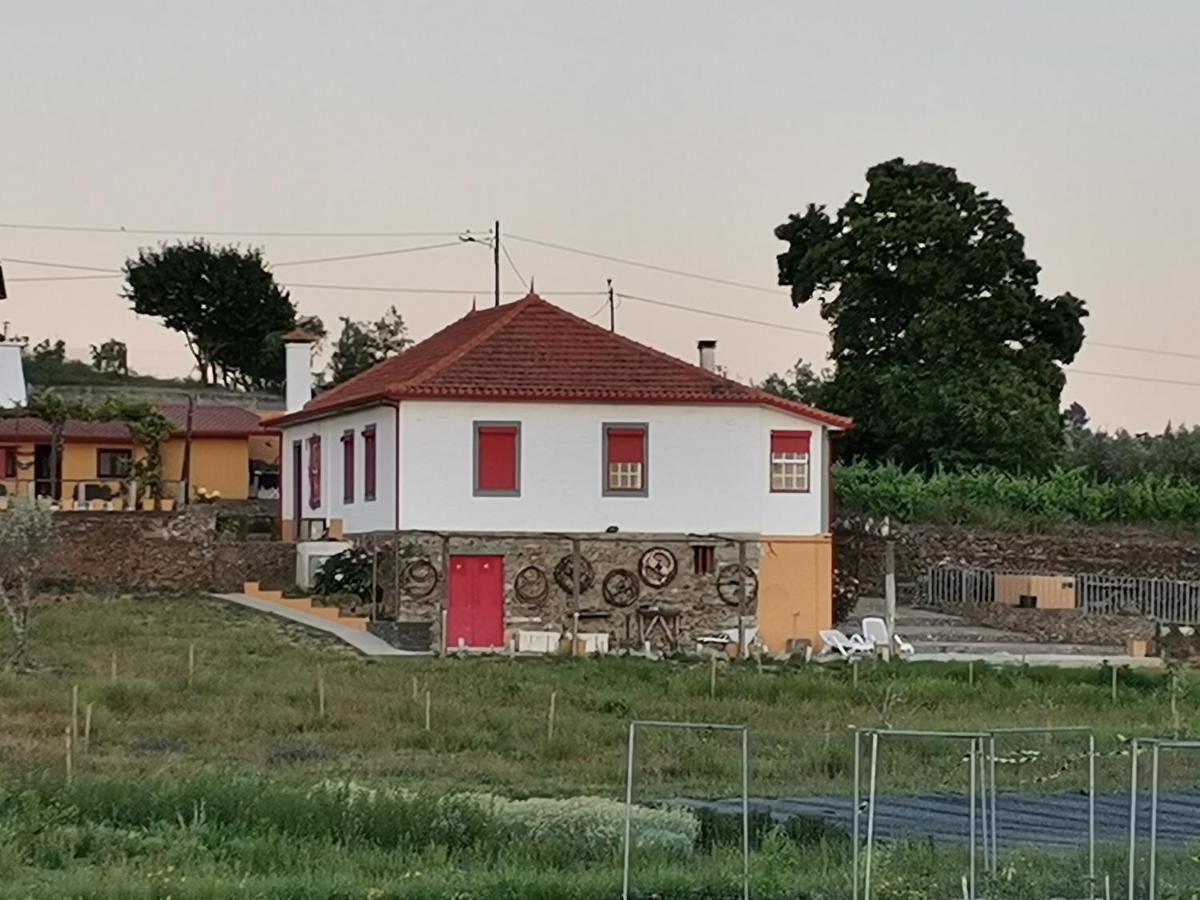 Casa Da Vinha Grande Ξενοδοχείο Poiares Εξωτερικό φωτογραφία