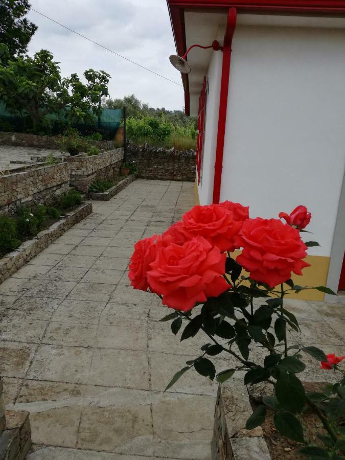 Casa Da Vinha Grande Ξενοδοχείο Poiares Εξωτερικό φωτογραφία